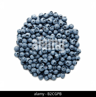 Pile of delicious blueberries isolated on white background large XXL file shot in studio Stock Photo