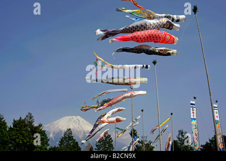 Carp Streamers(Koinobori) flying Mt Fuji background Asagiri Highland Shizuoka Japan Stock Photo