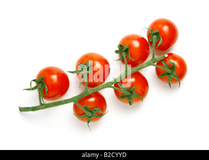 Fresh tomatoes with stem isolated on white background shot in studio Stock Photo