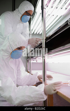 Workers in protective masks and suits in laboratory Stock Photo