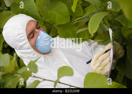 Worker in protective mask and suit writing on pad amongst plants Stock Photo