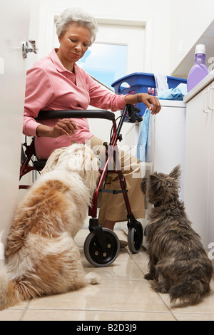 Senior woman doing laundry with dogs Stock Photo