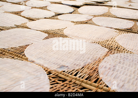 Rice pancakes dry on straw mats in the sunshine of the Mekong Delta, Vietnam. Stock Photo