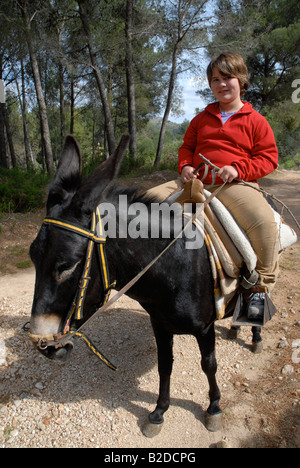 young girl riding a donkey, near Campell, Marina Alta, Alicante Province, Comunidad Valenciana, Spain Stock Photo