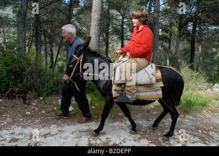 man leading young girl on a donkey, near Campell, Marina Alta, Alicante Province, Comunidad Valenciana, Spain Stock Photo