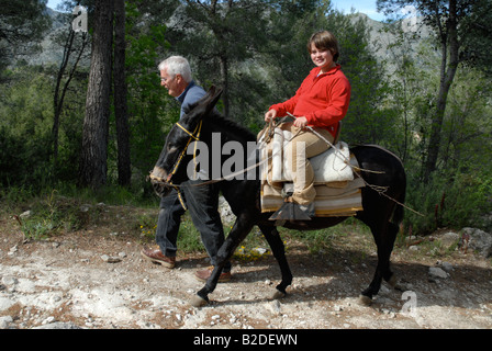 man leading young girl on a donkey, near Campell, Marina Alta, Alicante Province, Comunidad Valenciana, Spain Stock Photo