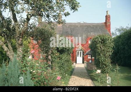 Gravel path through garden in front of thatched country cottage with red Virginia Creeper on the walls Stock Photo