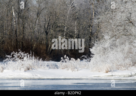 Hoar frost on the east fork of the Chippewa River Sawyer Co WI Stock Photo