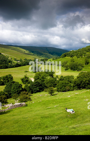 Looking up Wharfedale towards Hubberholme Yorkshire Dales National Park Stock Photo