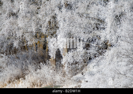 Hoar frost on the east fork of the Chippewa River Sawyer Co WI Stock Photo