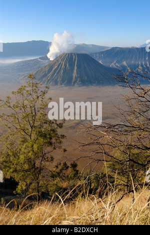 Indonesia, Java, Bromo volcano, sunrise Stock Photo - Alamy