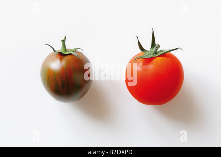 Two varieties of tomatoes left Red Zebra right Black Cherry Stock Photo