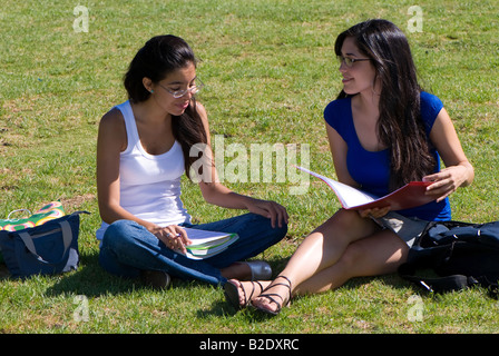 Two students on the nature Stock Photo