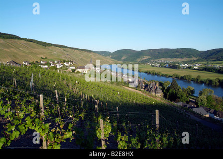 Aerial view of river flowing through landscape, Moselle River, Rhineland-Palatinate, Germany Stock Photo