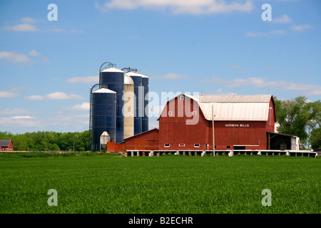 Farm surrounded by green unripe wheat at St Louis Michigan Stock Photo