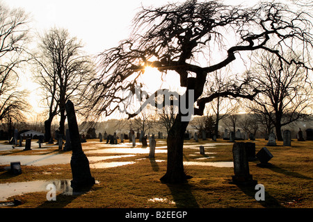 eerie creepy cemetery and rare apple tree in Lunenburg Nova Scotia Canada Stock Photo