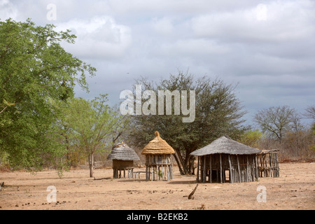 A rural settlement showing thatched grain-storage huts on stilts made from mopane logs Stock Photo