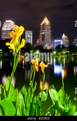 Sky scapers at night viewed from Lumpini park, Bangkok, Thailand Stock Photo