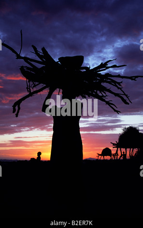 A Dassanech woman carries a bundle of wood home at sunset. Much the largest of the tribes in the Omo Valley. Stock Photo