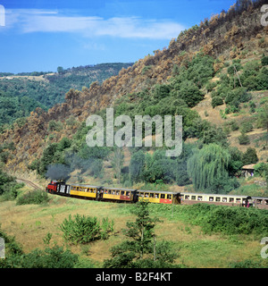 Chemin de fer du Vivarais tourist steam train in Gorges du Doux Ardèche departement France Europe Stock Photo