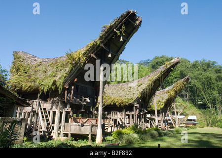 In Lemo, old traditional Torajan houses. Sulawesi-Indonesia. A Lemo, vieilles maisons traditionnelles Toraja. Sulawesi-Indonésie Stock Photo