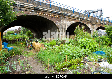 vegetable plots on an allotment in London east end Stock Photo