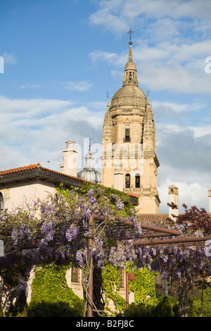 SPAIN Salamanca flowering wisteria vines cover overhead trellis in park near university spire and dome of educational buildings Stock Photo