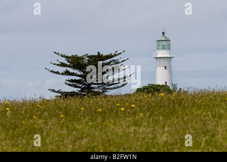 Lighthouse on island of Tiritiri  Matangi, New Zealand Stock Photo