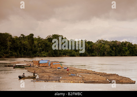 Logging boom on Yavari River Amazon rainforest Stock Photo