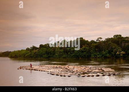 Logging boom on Yavari River Amazon rainforest Stock Photo