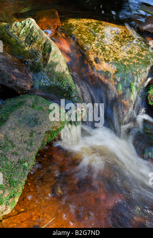 Farbenspiel an Steinen in der Oder im Hochharz bei Torfhaus Nationalpark Harz Sachsen Anhalt Deutschland Stock Photo