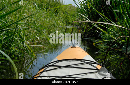 Kayak passing through reeds on the Abbey River — a narrow backwater of the River Thames — near Chertsey, Surrey, England Stock Photo