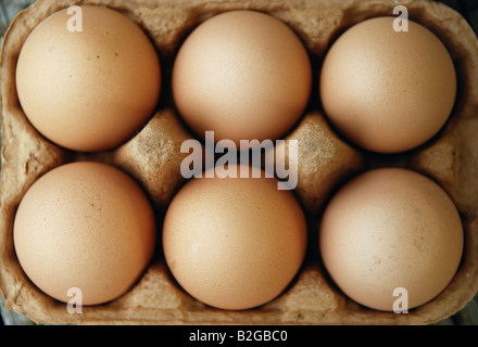 6 eggs in container Stock Photo