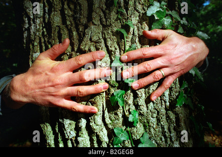 Hugging a tree Stock Photo