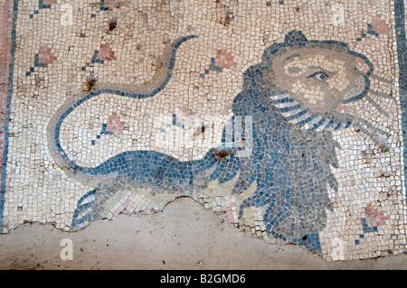 A lion on the ancient Hellenistic mosaic floor belonging to the Hammat Tiberias Synagogue on the outskirts of Tiberias Stock Photo