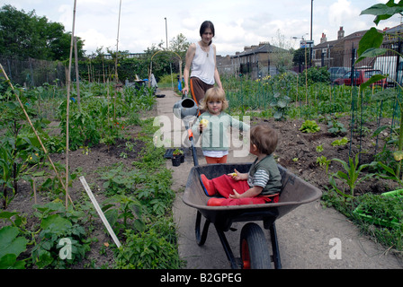 allotment in Peckham South London growing organic produce. Stock Photo