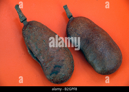 Tamarind pods. Stock Photo