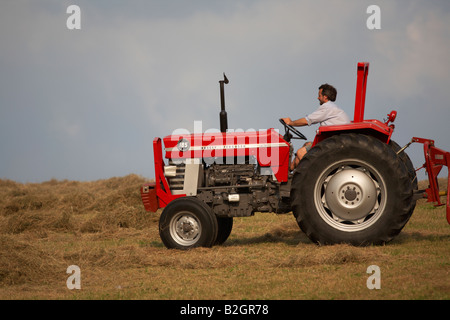 farmer sitting on a massey ferguson 185 old tractor in a field making hay county down northern ireland Stock Photo