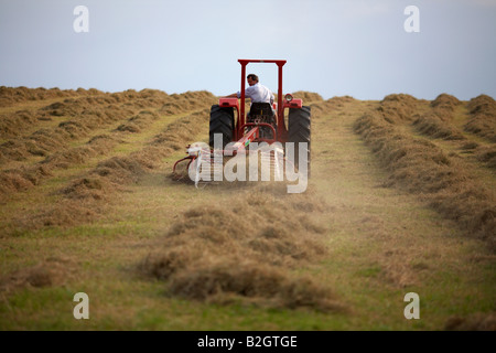 farmer sitting on a massey ferguson 185 old tractor pulling a haymaker attachment in a field making hay county down Stock Photo