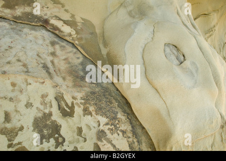 Detail of sandstone, Gabriola Island, BC, Canada Stock Photo