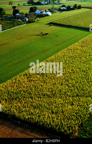 Aerial view of rural Pennsylvania Dutch Country, extremely fertile farmlands owned mainly by The Plain People, or Amish Stock Photo
