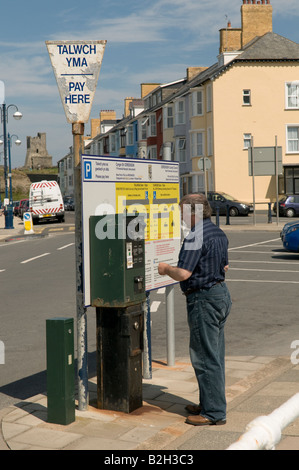 man using a bilingual welsh and english language pay and display parking meter Aberystwyth promenade Wales UK Stock Photo