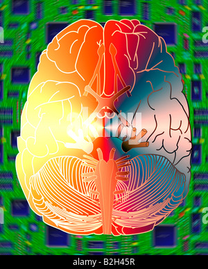 abstract view of human brain Stock Photo