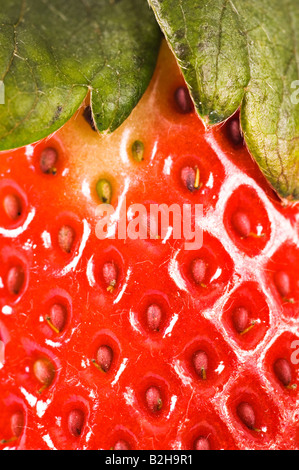 Strawberry macro at studio white background Stock Photo - Alamy