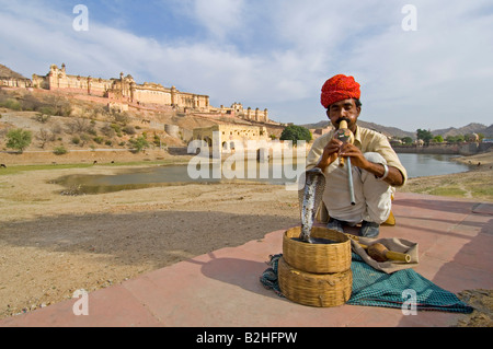 A snake charmer and his Indian or spectacled cobra (naja naja) performing with the Amber Palace in the background. Stock Photo