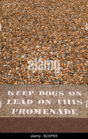 Keep dogs on lead sign stencilled on a pavement besides a beach Stock Photo