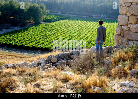 Israel Southern Coastal Plains Lachish Region Tel Lachish Archaeological site Stock Photo