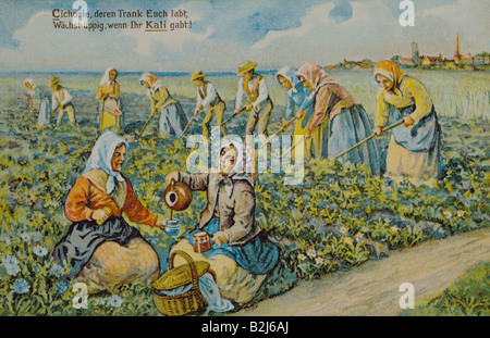 advertising, postcard, advertising postcard of the Potash Syndicate of Germany, from the series 'Das ABC des Landmanns' (The basics of farming), Berlin, Germany, circa 1915 / 1920, private collection, , Stock Photo
