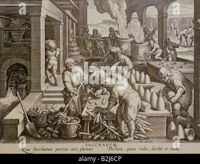 food, sugar, production, 'Saccharum' (Sugar), copper engraving, by Theodor Galle or Jan Collaert, based on Johannes Stradanus (1523-1605), from 'Nova Reperta' (New inventions), circa 1580, Artist's Copyright has not to be cleared Stock Photo