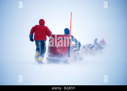 Arctic explorers traveling in a blizzard on a sled pulled by Canadian Eskimo dogs Stock Photo